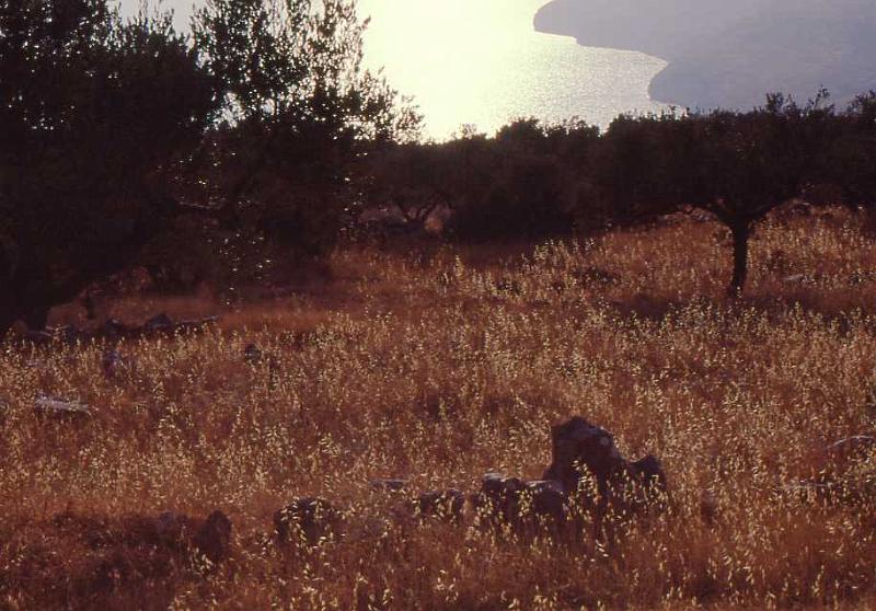 16- Tra Vathia e Gerolimenas (Mani interno),12 luglio 1995.jpg